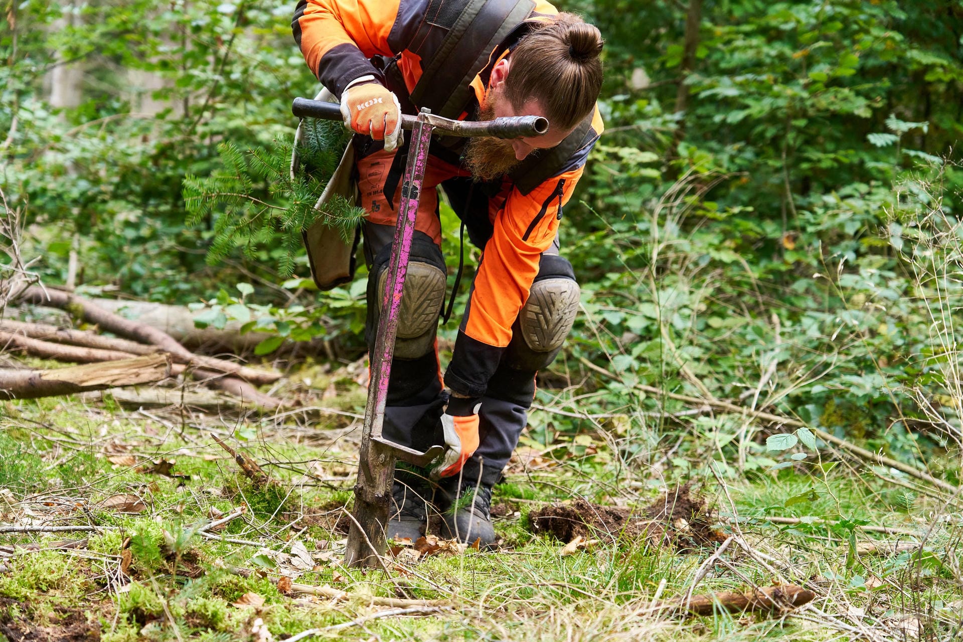 JS6b Professionelle Spatenstiche zum einpflanzen von Bäumen