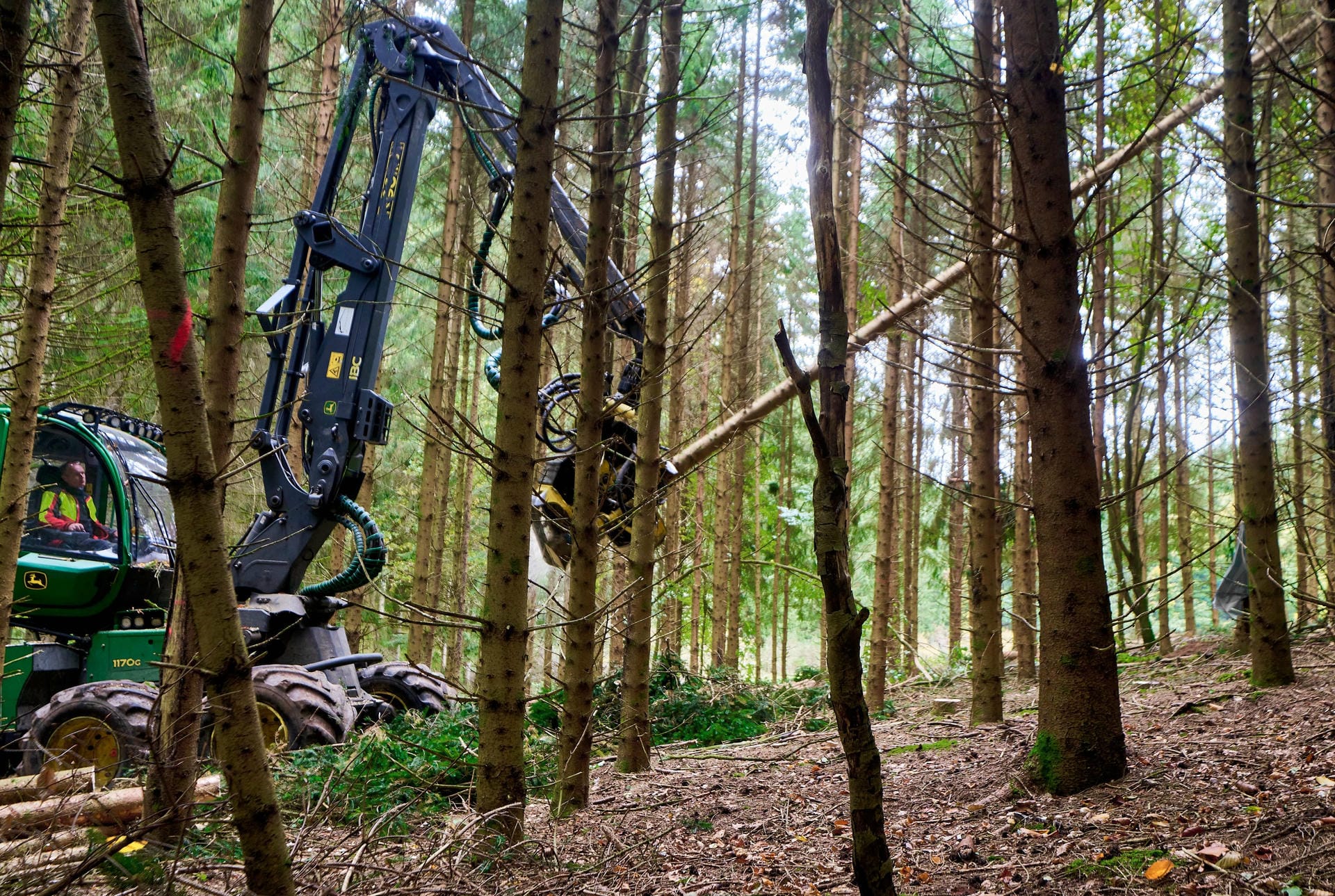 Schwere Maschinen arbeiten im Wald